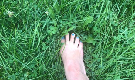 Summer is a time for your toes in the grass and the sun on your face